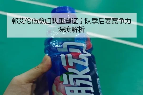 郭艾伦伤愈归队重塑辽宁队季后赛竞争力深度解析